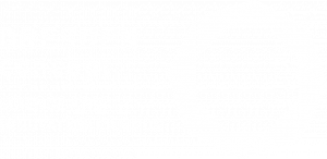DRESDEN-concept Logo