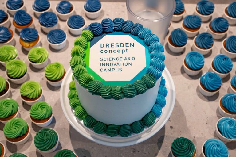 Eine Torte mit Verzierungen in blau und grün ist umringt von Cupcakes in blau und grün. Auf der Torte steht drauf DRESDEN-concept Science and Innovation Campus. Logo