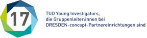 17 TUD Young Investigators, die Gruppenleiter:innen bei DRESDEN-concept-Partnereinrichtungen sind